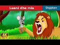 Luani dhe miu  lion and the mouse in albanian   albanianfairytales