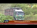 Thanh Hóa đẩy mạnh nhập khẩu lợn từ Thái Lan | PTTH Thanh Hóa