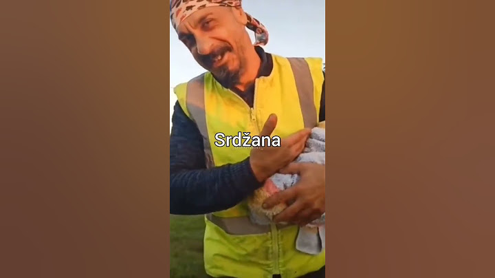 Brate daj dinar za Srdzana🤣#shortsfeed