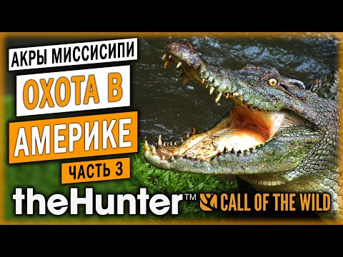 Видео: theHunter Call of the Wild 🐊 | ОХОТА НА АЛЛИГАТОРОВ С ЛАБАЗА | Заказник "Акры Миссисипи" | (часть 3)