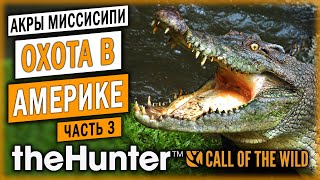 theHunter Call of the Wild 🐊 | ОХОТА НА АЛЛИГАТОРОВ С ЛАБАЗА | Заказник "Акры Миссисипи" | (часть 3)