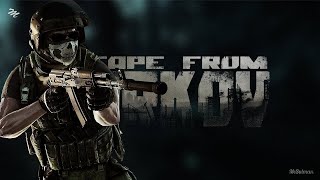 АЛКОТАРКОВ день 17