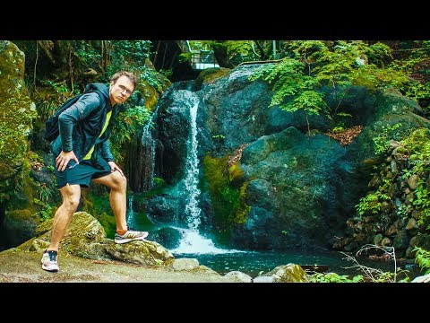 Wideo: Co To Jest Kąpiel W Lesie, Gdzie Udać Się Na Pielgrzymkę Do Japonii