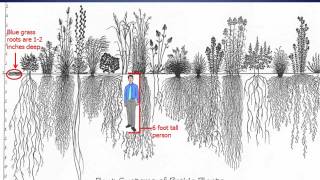 Shoreland Zoning Update - Part 2