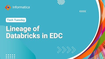 Lineage of Databricks in EDC
