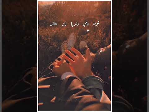 Toon Bhali Dilruba Naaz Ker  Slow  Reverb  Zamin Ali  Sindhi Song  Aesthetic Video