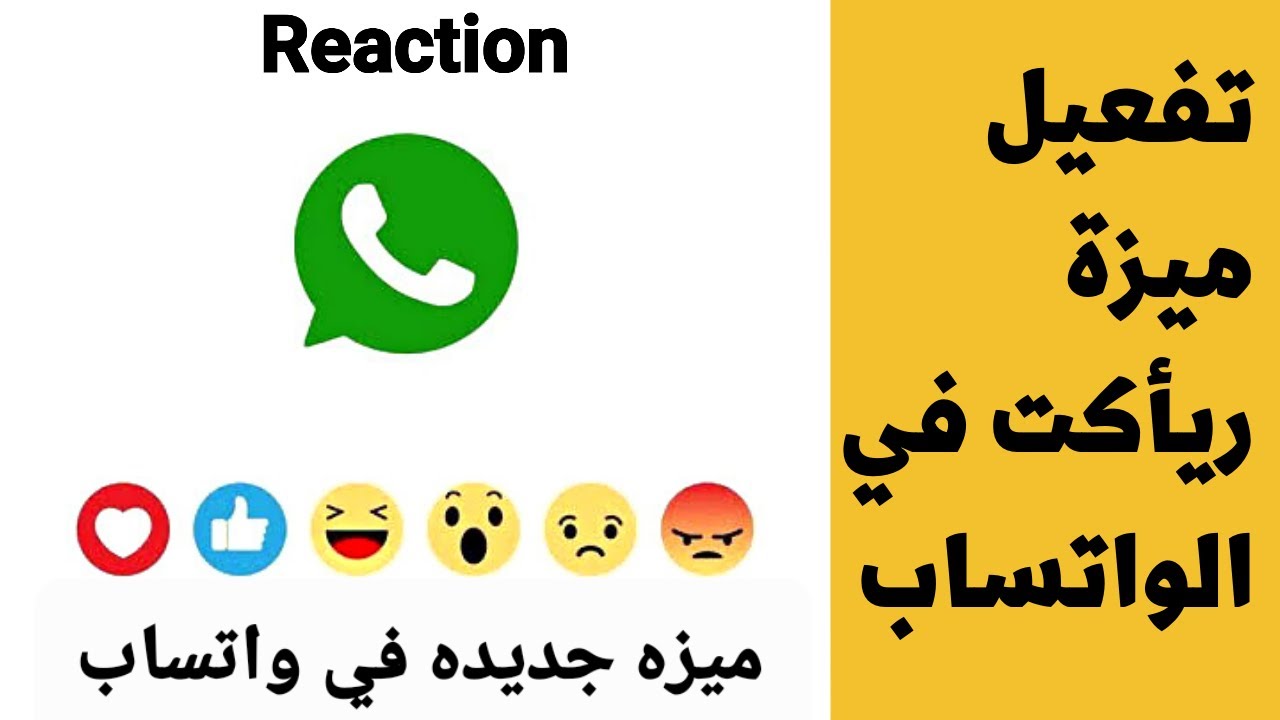 나는 어떻게 일합니까? 반응 | 알리 WhatsApp 메시지 | WhatsApp에서 React 기능 활성화 - YouTube
