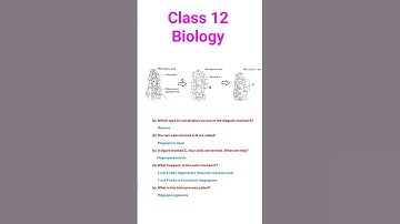 Sexual Reproduction in Flowering Plants | Class 12 Biology | #viralvideo  @StudywithKuljeetKaur​
