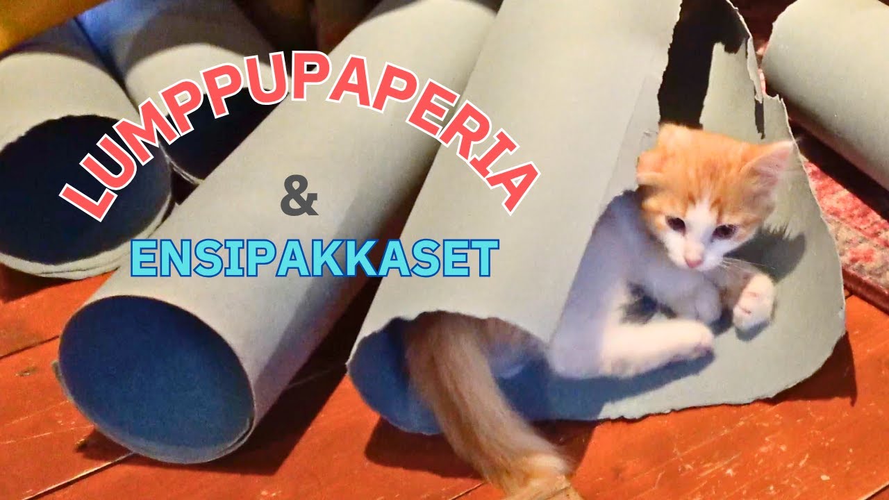 Lumppupaperia & ensipakkaset 🌨️