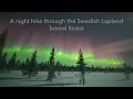 A night hike through the Swedish Lapland boreal forest - GEOMAGNETIC STORM March 13th 2022 - 4K