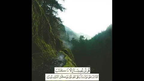 القارئ الشيخ فارس عباد ❤️ (حالات واتس اب) واستوري انستجرام ❤️♥️❤️