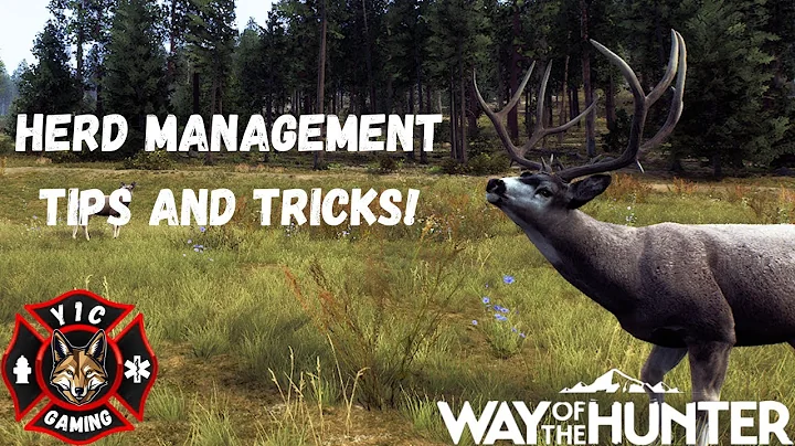 Herd Management 2025! Tips And Tricks! | Way of the Hunter
