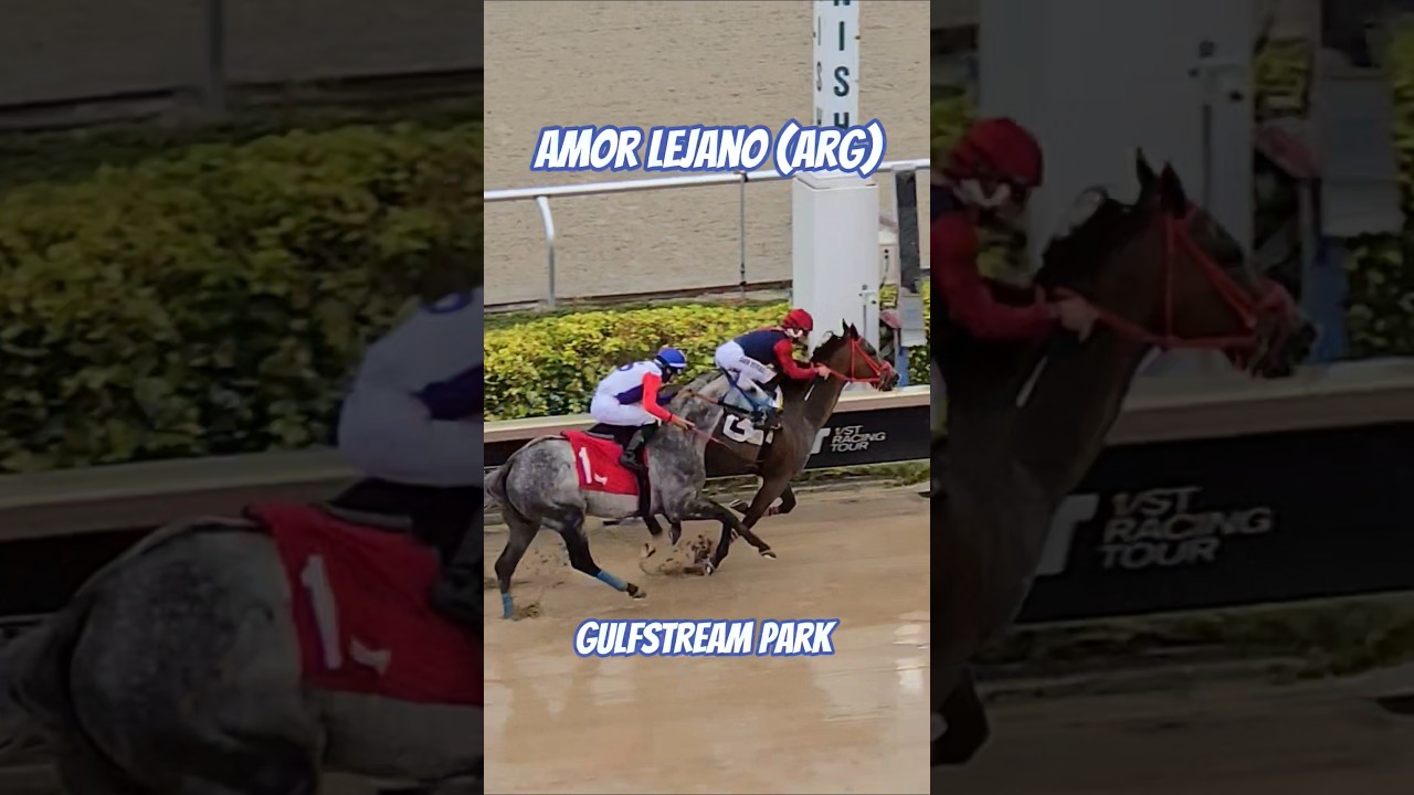 Amor Lejano (ARG) and David Boraco hit the wire first in race 3 at 