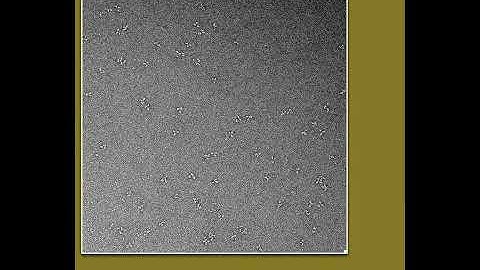 problem1: Fiji (Imagej for Electron Microscopy - the basics)