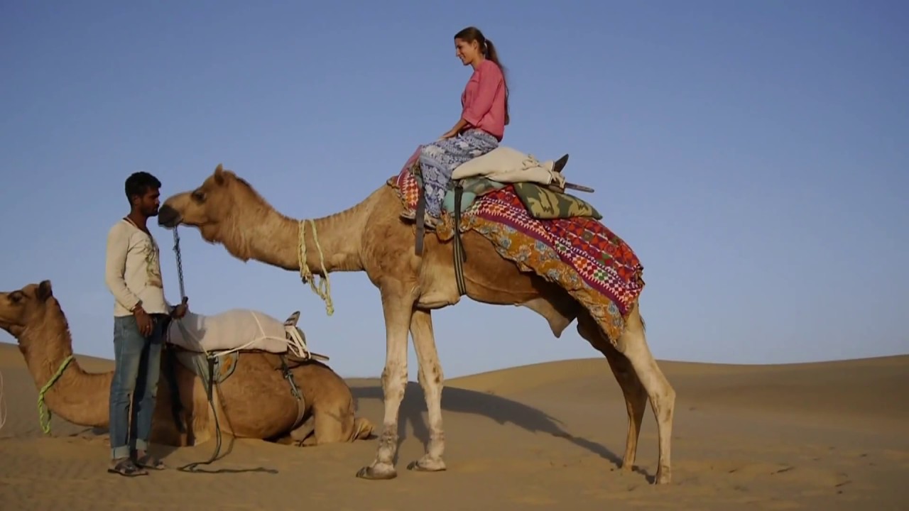 Image result for jaisalmer camel safari