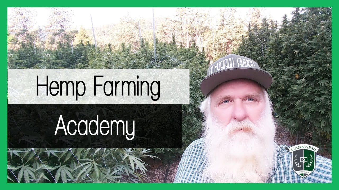 Learn how to grow hemp - An online course for new 