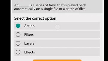 Digi skills graphic design quiz 3 batch 6