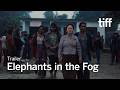ELEPHANTS IN THE FOG Trailer | TIFF 2026