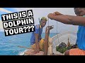 Swimming with Dolphins in Zanzibar!