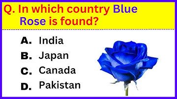 Algemene kennis quiz! 🤔 | 30 vragen die IEDEREEN nu zou moeten weten!