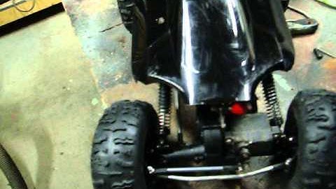 Well Sorted RedCat RS10 XT: The Virginia Creeper