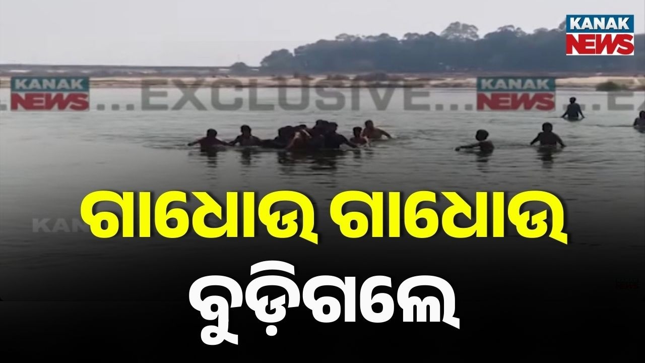 Holi Tragedy in Cuttack: Minor Drowns in Mahanadi Near Baramba T-Bridge