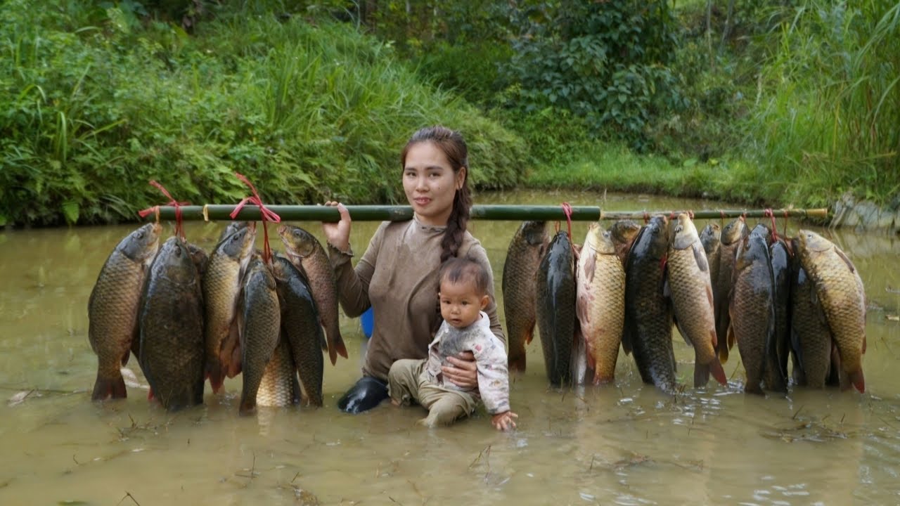 How to catch and harvest fish from a giant fish pond for sale - Farm cleanup