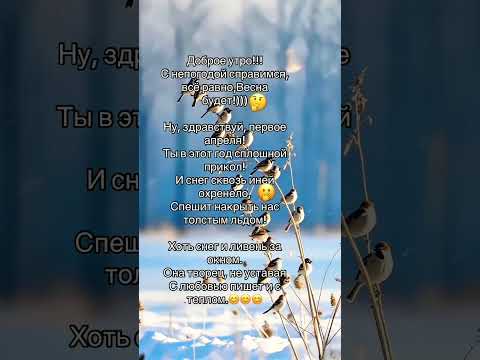 С непогодой справимся, всё равно,Весна 🤔😊