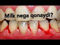 Milk nega qonaydi?  МИЛК НЕГА КОНАЙДИ?