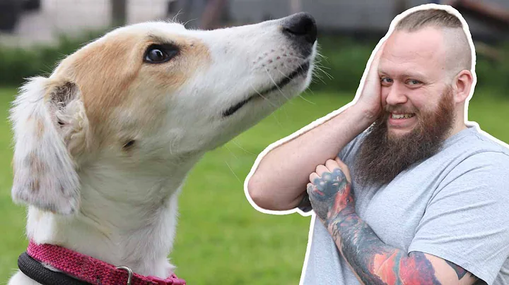 FEARFUL AND ANXIOUS DOG TRANSFORMATION