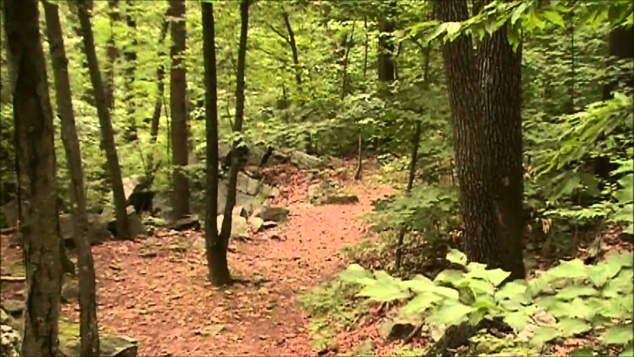 Schooleys Mountain Park - Northwest New Jersey Outdoor Adventures