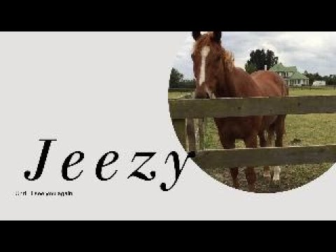 How i imagine Jeezy will greet me in Heaven