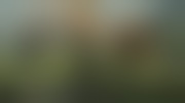 Titanfall 2: Titan and Pilot Visual Customization