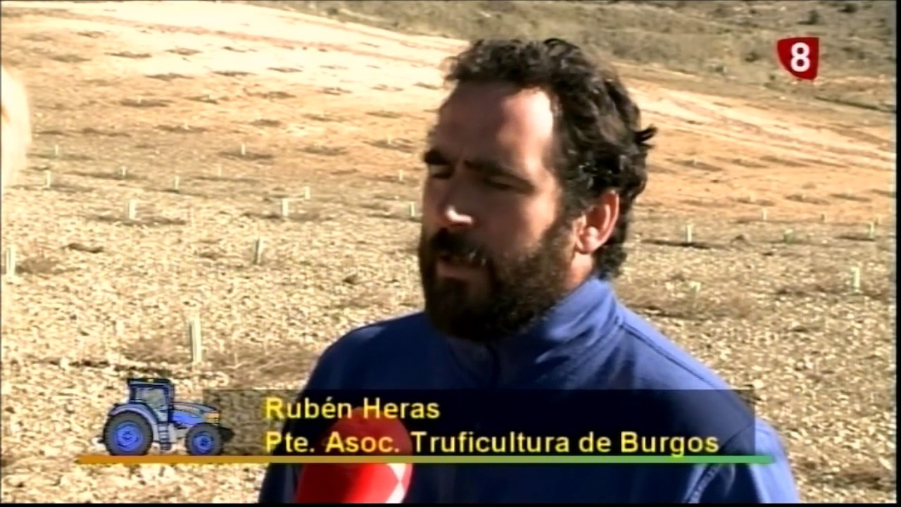 Producción y Recolección de Trufa 25.1.17