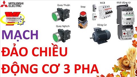 Mạch ĐẢO CHIỀU ĐỘNG CƠ 3 Pha Bằng Nút Nhấn Siêu Đơn Giản