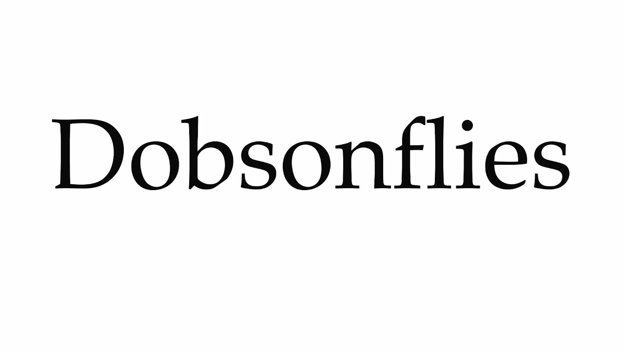 How to Pronounce Dobsonflies