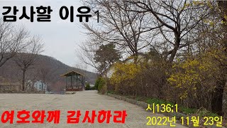 여호와께 감사하라 (감사이유1, 시136;1, 20221123)