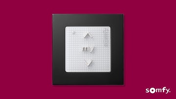 Smoove® 1 RTS Wall Switch