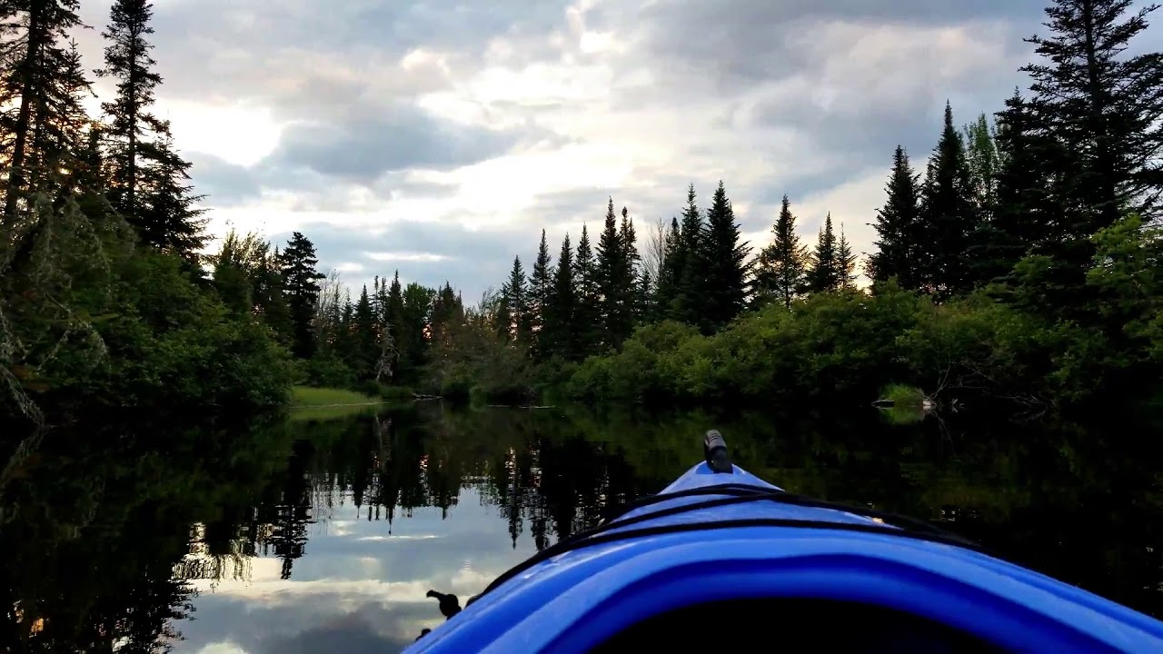 Paddling South Bog Stream, Rangeley YouTube