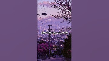 قرآن كريم || #بصوت_القارئ #ماهر_المعيقلي #مكة_المكرمة #الحرم_المكي #اكسبلور #فولو