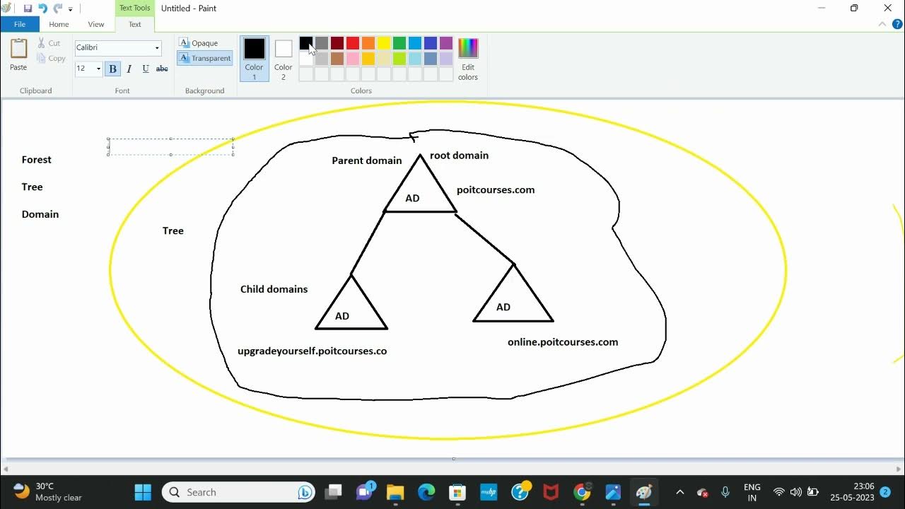 What is forest tree and domain in active directory youtube