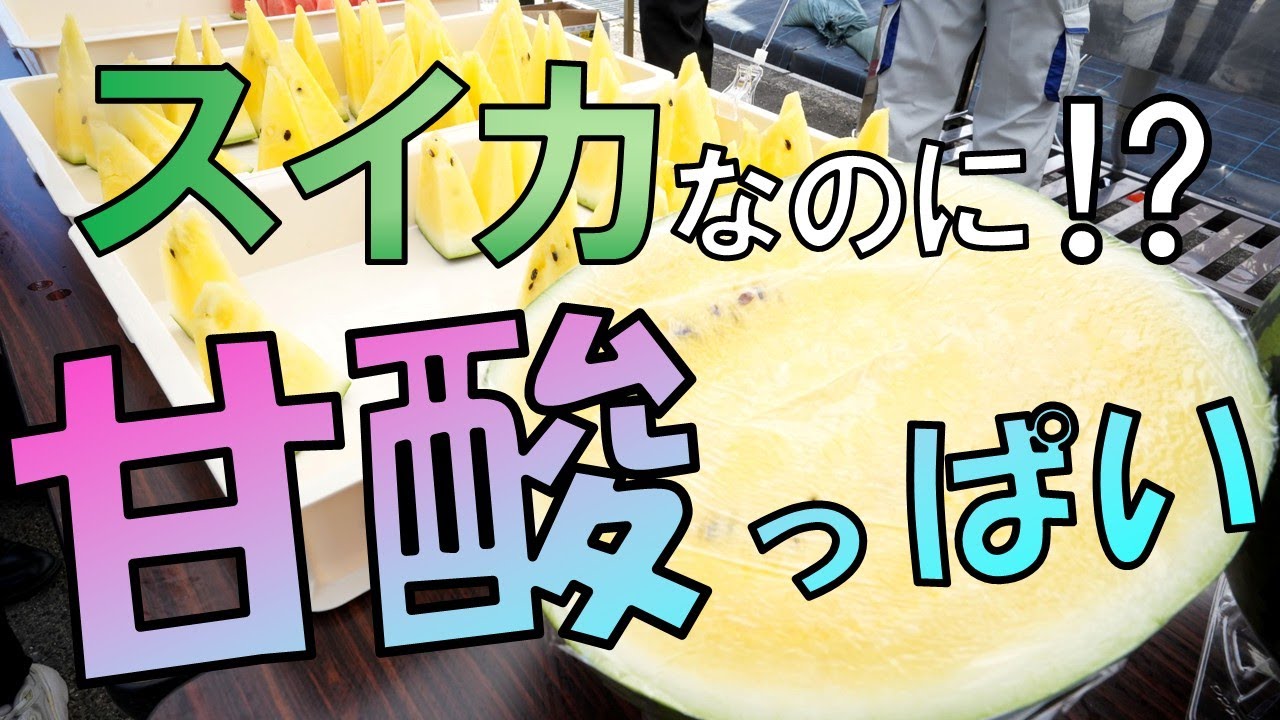 甘酸っぱいスイカ 「スイナップル」登場 新ジャンル開拓へ - YouTube