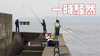 合意 立法 宣言 馬 渡島 釣り場 Riceworld Jp