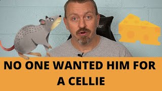 Mr. Jingles, the Real Prison Mouse