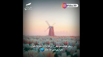 حالات واتس اب//قرآن كريم القارئ وديع اليمني