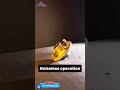 Video Image