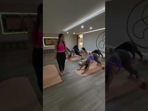 Yoga Studio Coral Gables Lipe House of Wellness