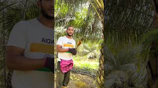 अब ये क्या अज़ाब है 😂😂 #shorts #viralshorts #foryou #explore #malaysia #minivlog