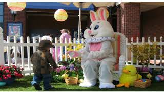 Bunny Costume Party Equipment Rental Service In Montreal