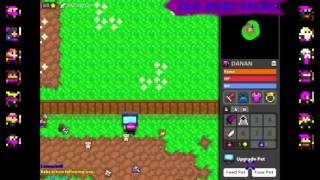 RotMG Pet Tutorial by DANAN